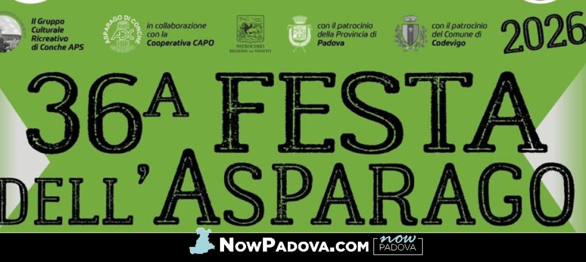 festa-asparago-conche