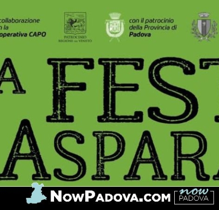 festa-asparago-conche