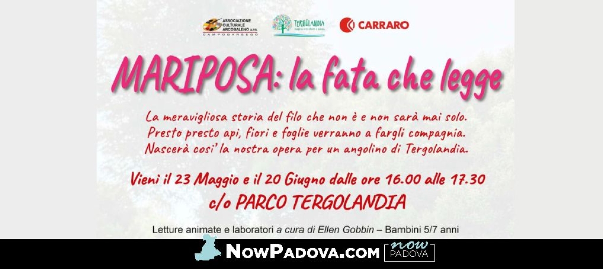 mariposa-la-fata-che-legge