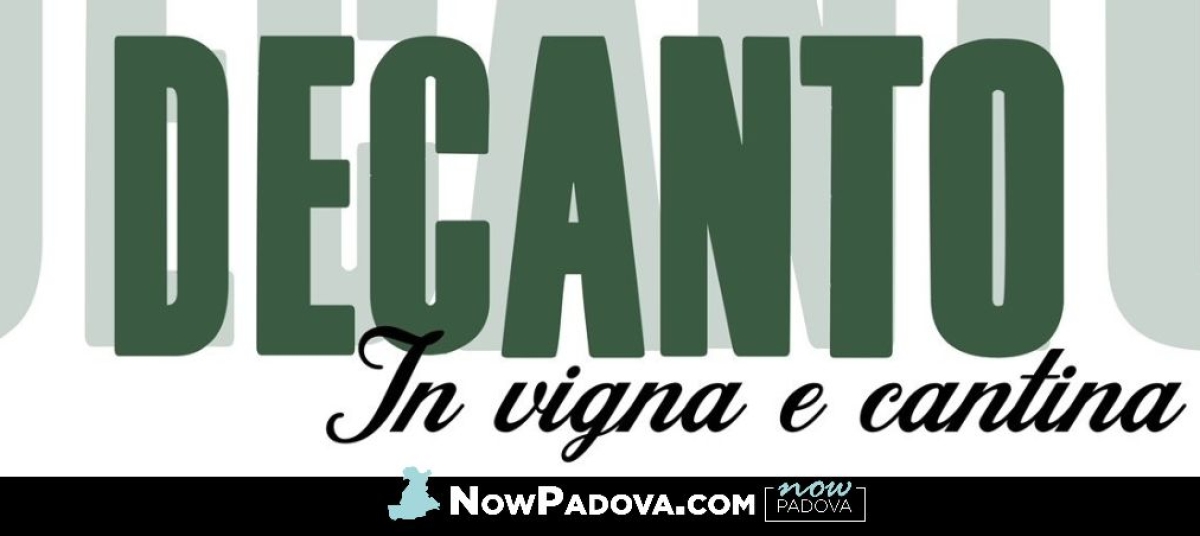 decanto-vo