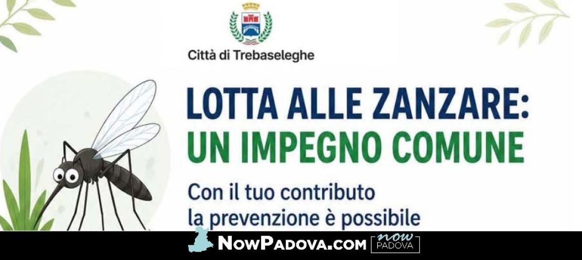 lotta-zanzare-trebaseleghe