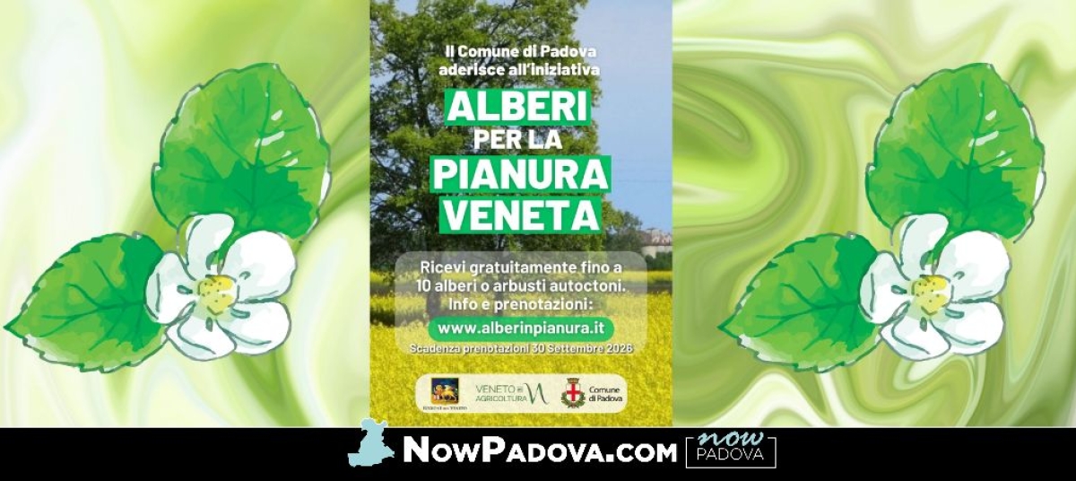 alberi-pianura