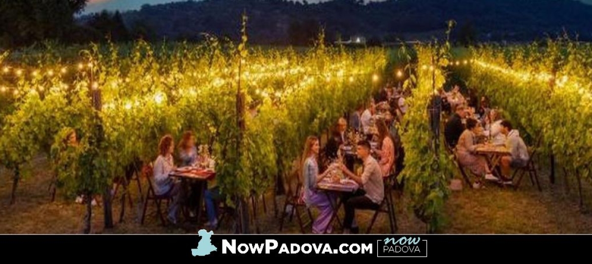 cena-vigna