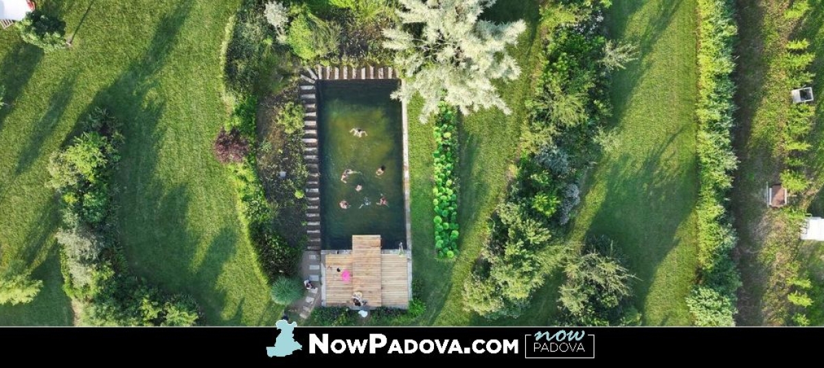 breakfast-disco-pool
