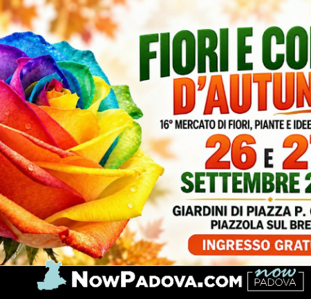 fiori-piazzola